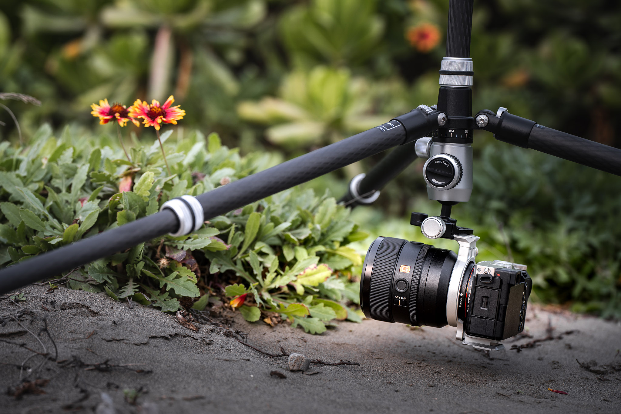 Flower Camera Dslr Nature Photography Silence Corner Atoll D For