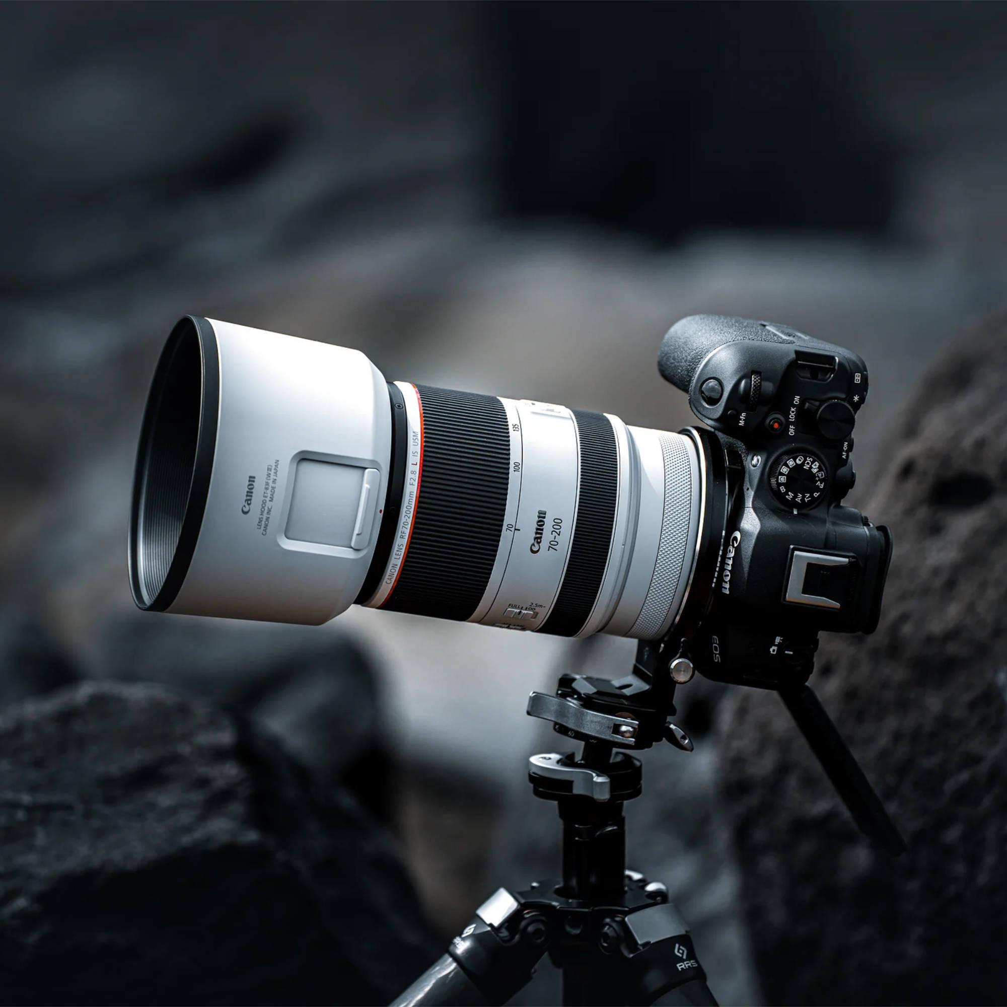 Photography Nikon Z5 Review Nikon Z5 Mirrorless Camera With Lenses